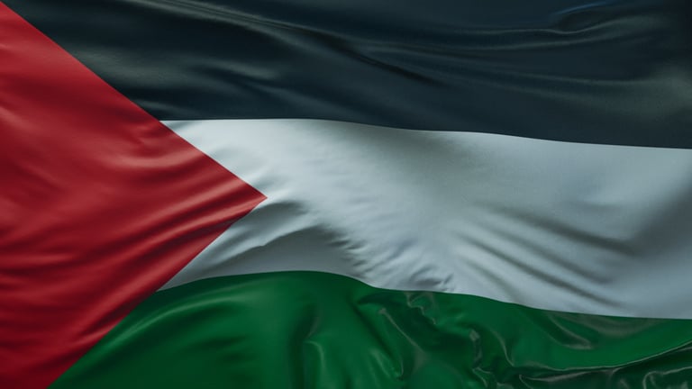 Flag of the Palestine background